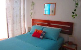 Casa Piña #4